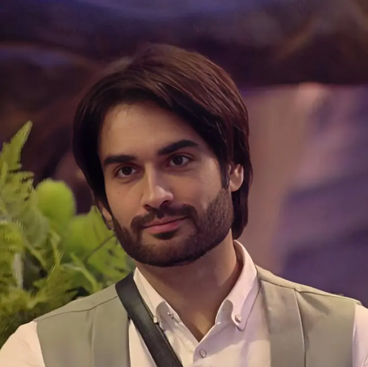 Big Boss 18 Vivian Dsena Net Worth