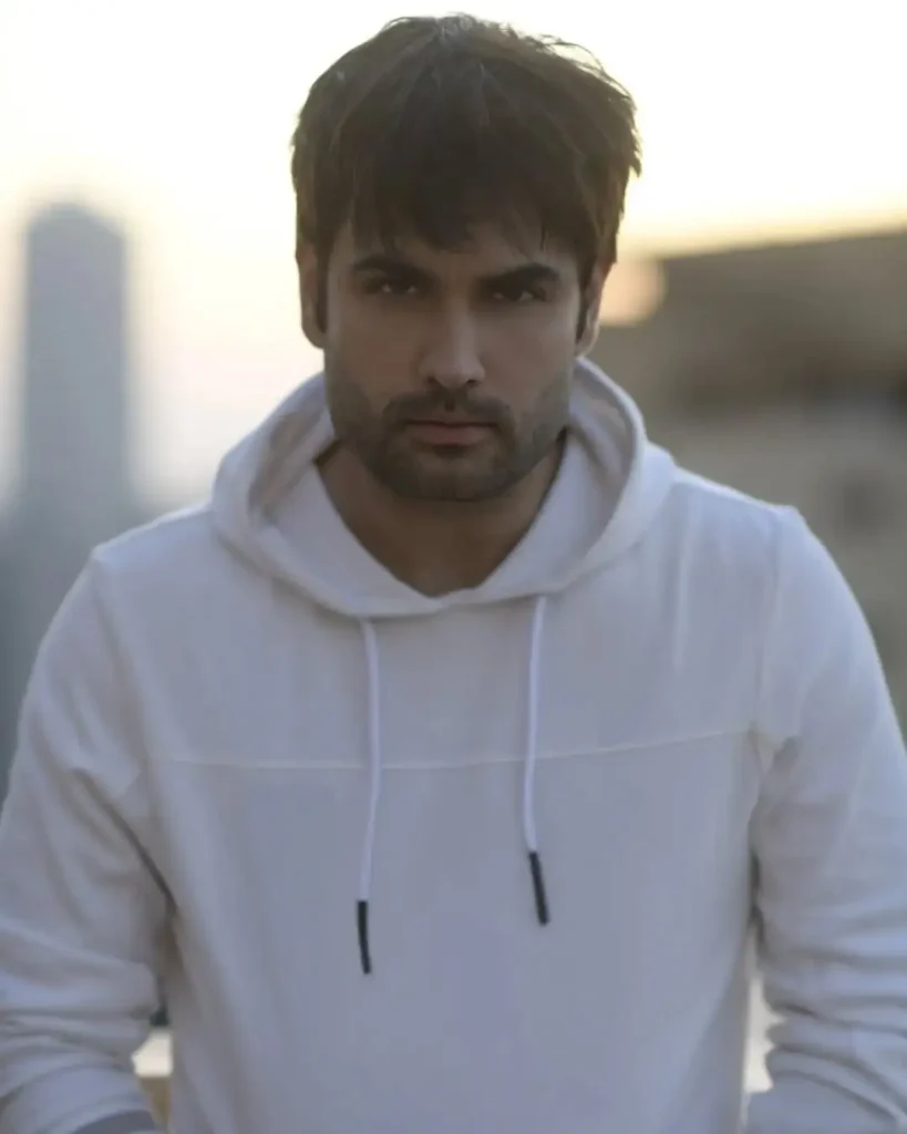 Big Boss 18 Vivian Dsena Net Worth 2025